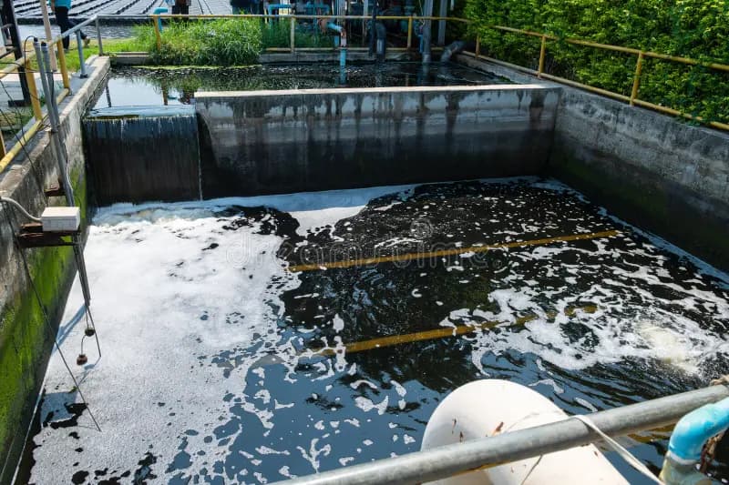 Why Proper Hazardous Wastewater Collection Is Critical for Environmental Safety