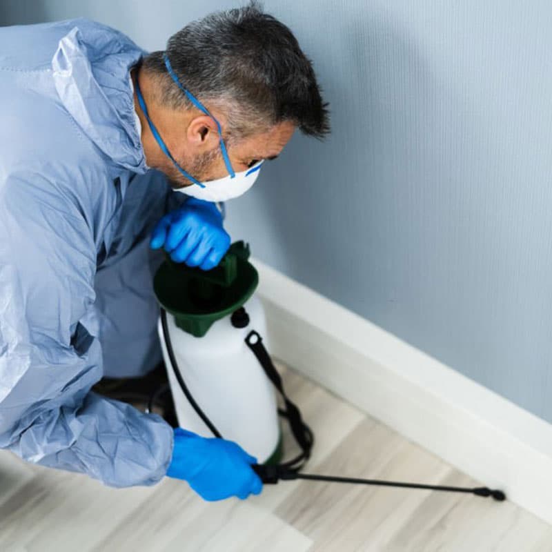 Safe, Effective & Municipality-Approved Pest Control Solutions