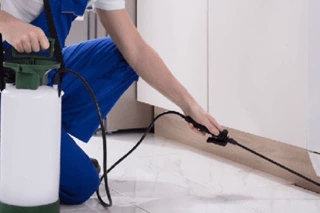 Professional Pest Management for Homes, Villas & Apartments in Dubai